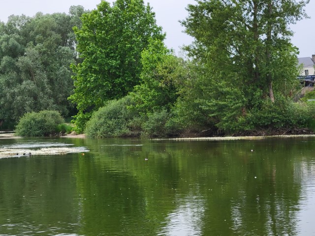 20220522_181949.jpg